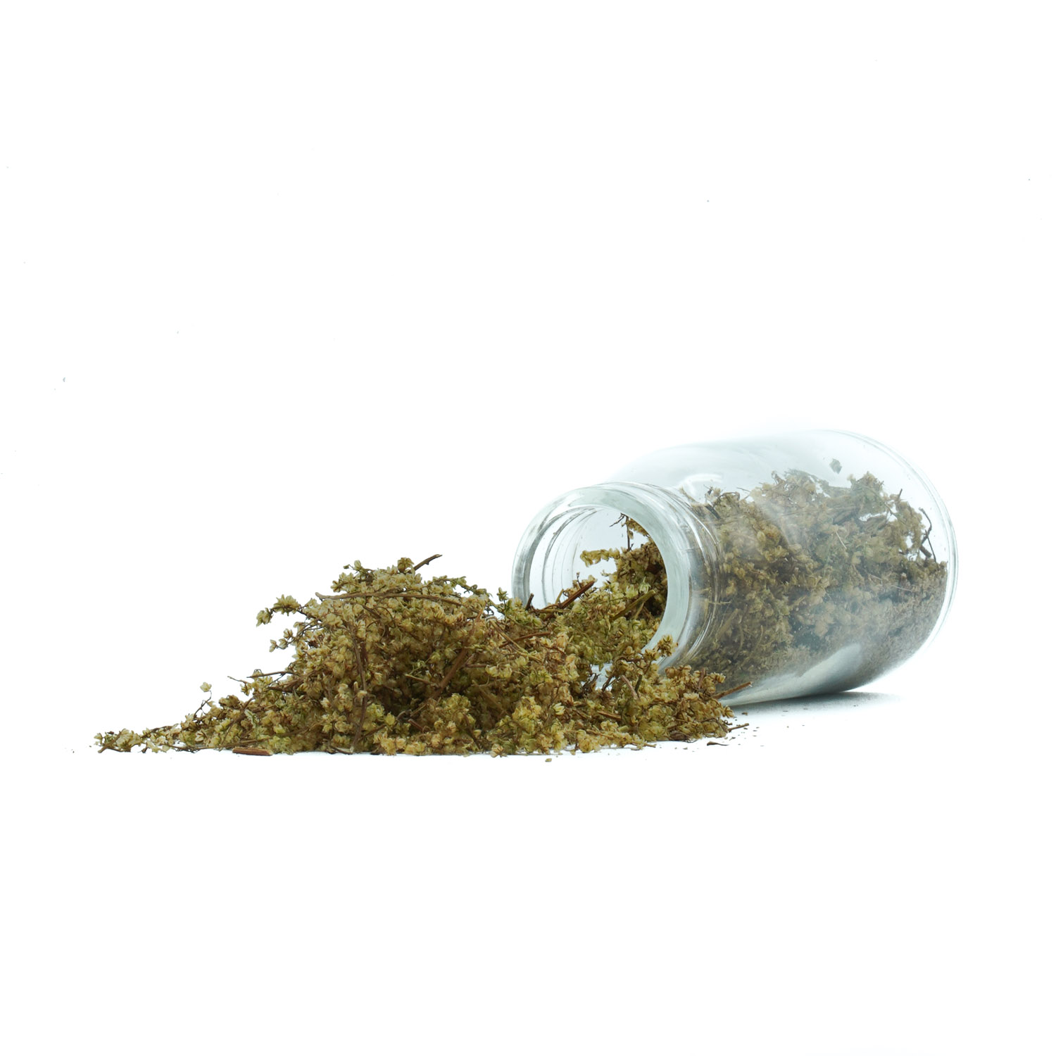 Čaj slatki pelin - Image 3