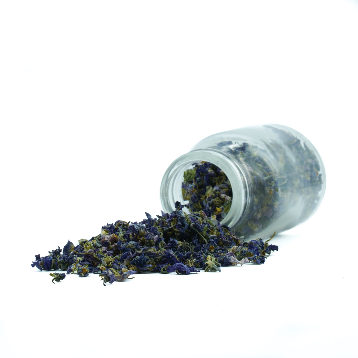 Ljubičica - cvijet - Image 3